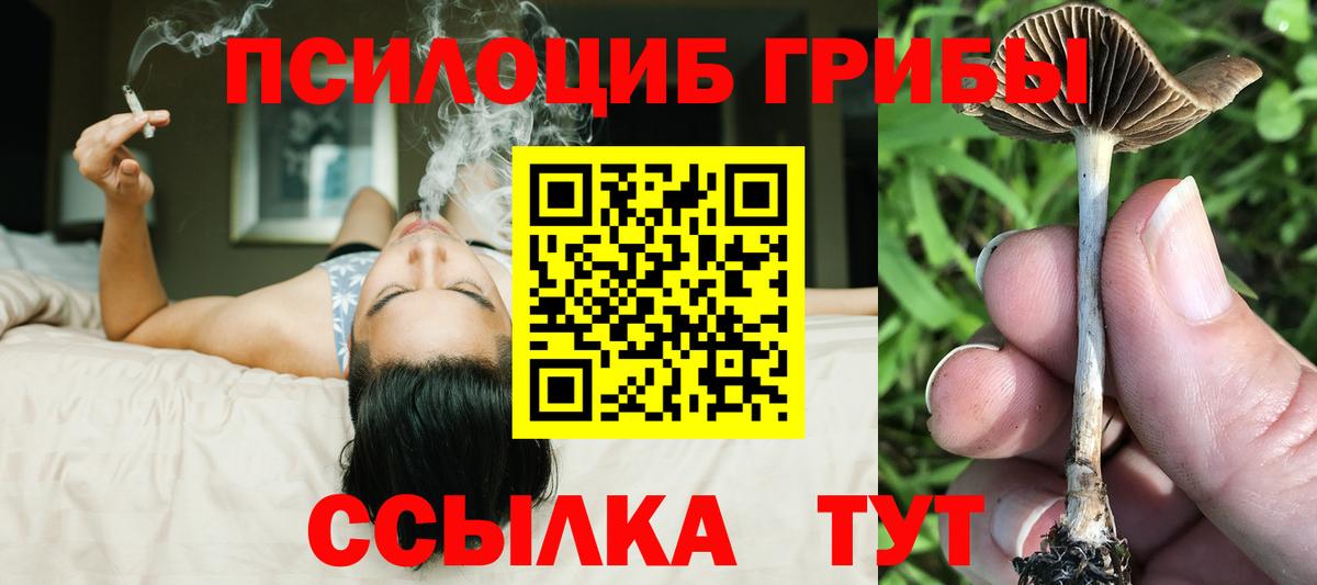 Псилоцибиновые грибы GOLDEN TEACHER  Галлюциногенные грибы Psilocybine cubensis  Донецк  Вход с VPN 